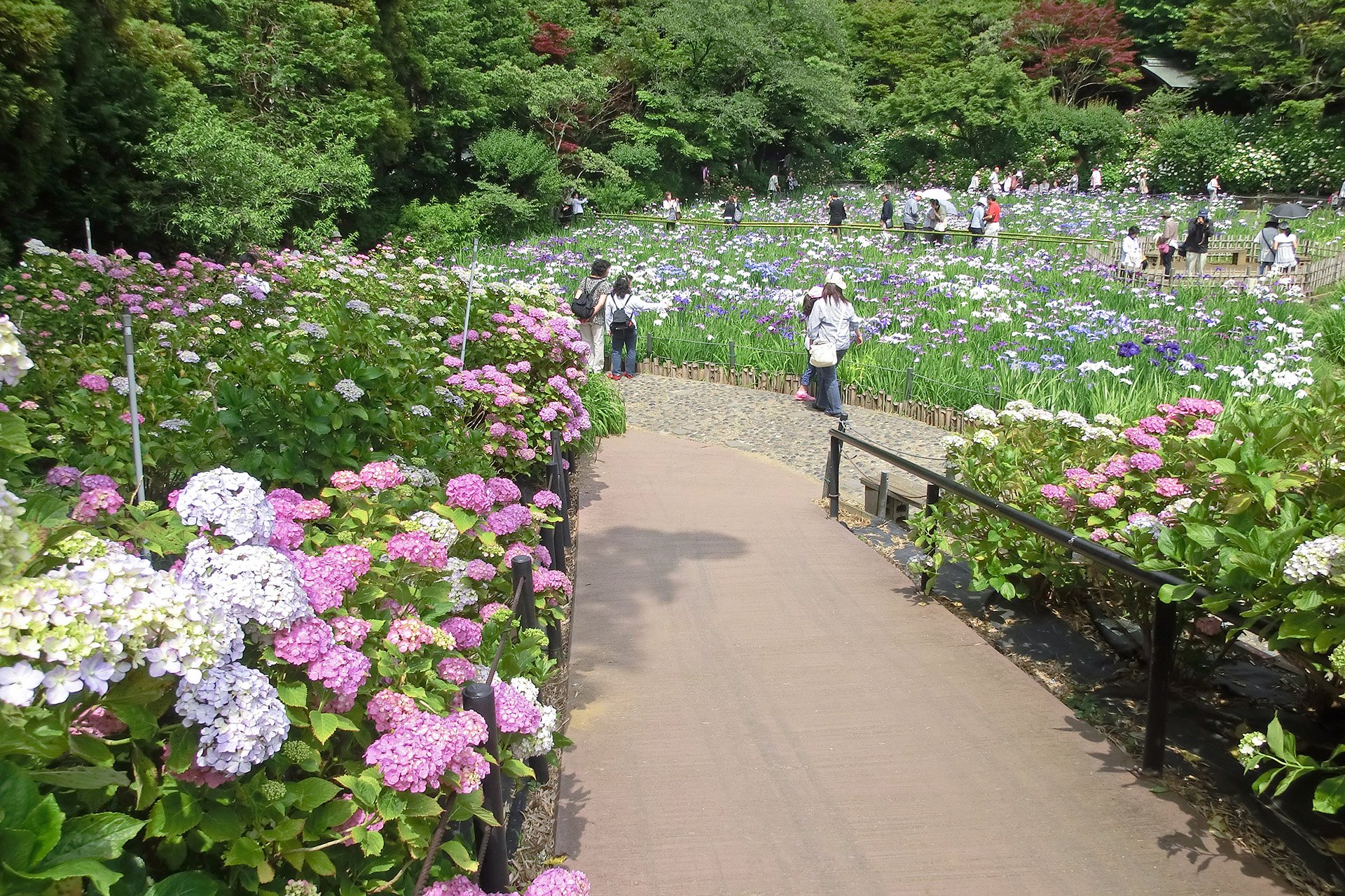 🌳 21세기의 숲과 광장 (니주잇세이키노모리토히로바) 이미지 7